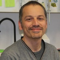 David VOLLEprofile picture