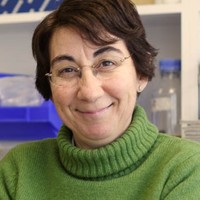 Maria Eugenia GALLEGOprofile picture