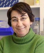 Maria Eugenia GALLEGOprofile picture