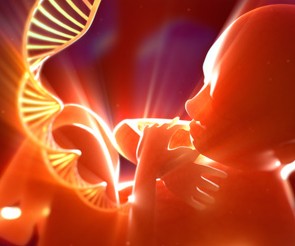 Thematic 2: Reproduction and development in health and disease