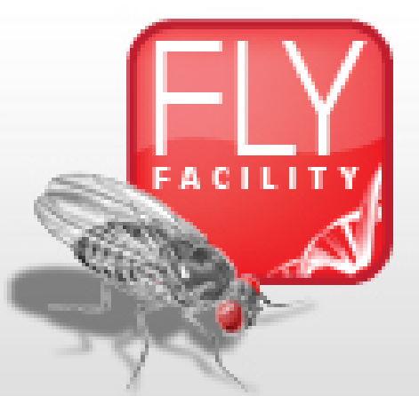 Fly Facility