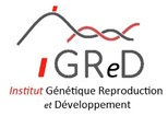 Mardis de l'iGReD Mars  2023